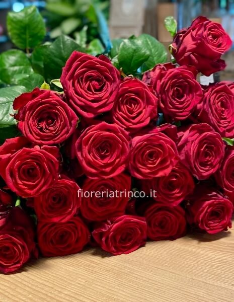 Rose rosse Rose rosse