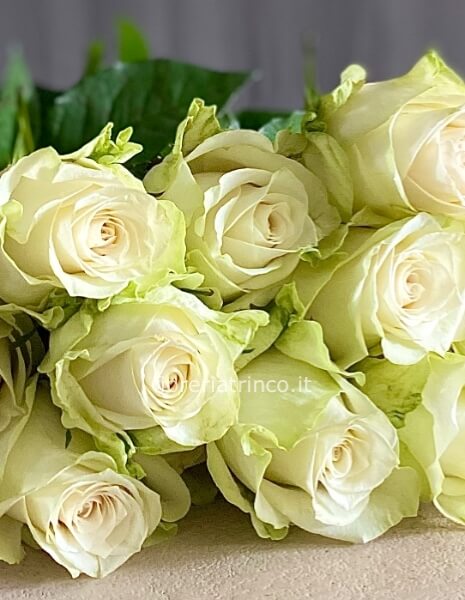 Rose bianche Rose bianche