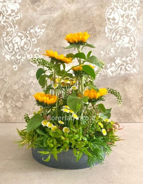 Composizione girasoli Composizione girasoli