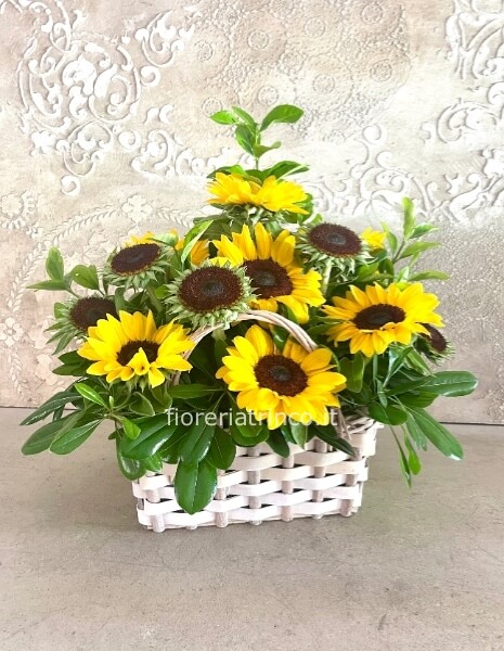 Cesto girasoli Cesto girasoli